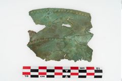 Foto von Bronzebreitrandschüssel (NHMW-PRAE-002320)